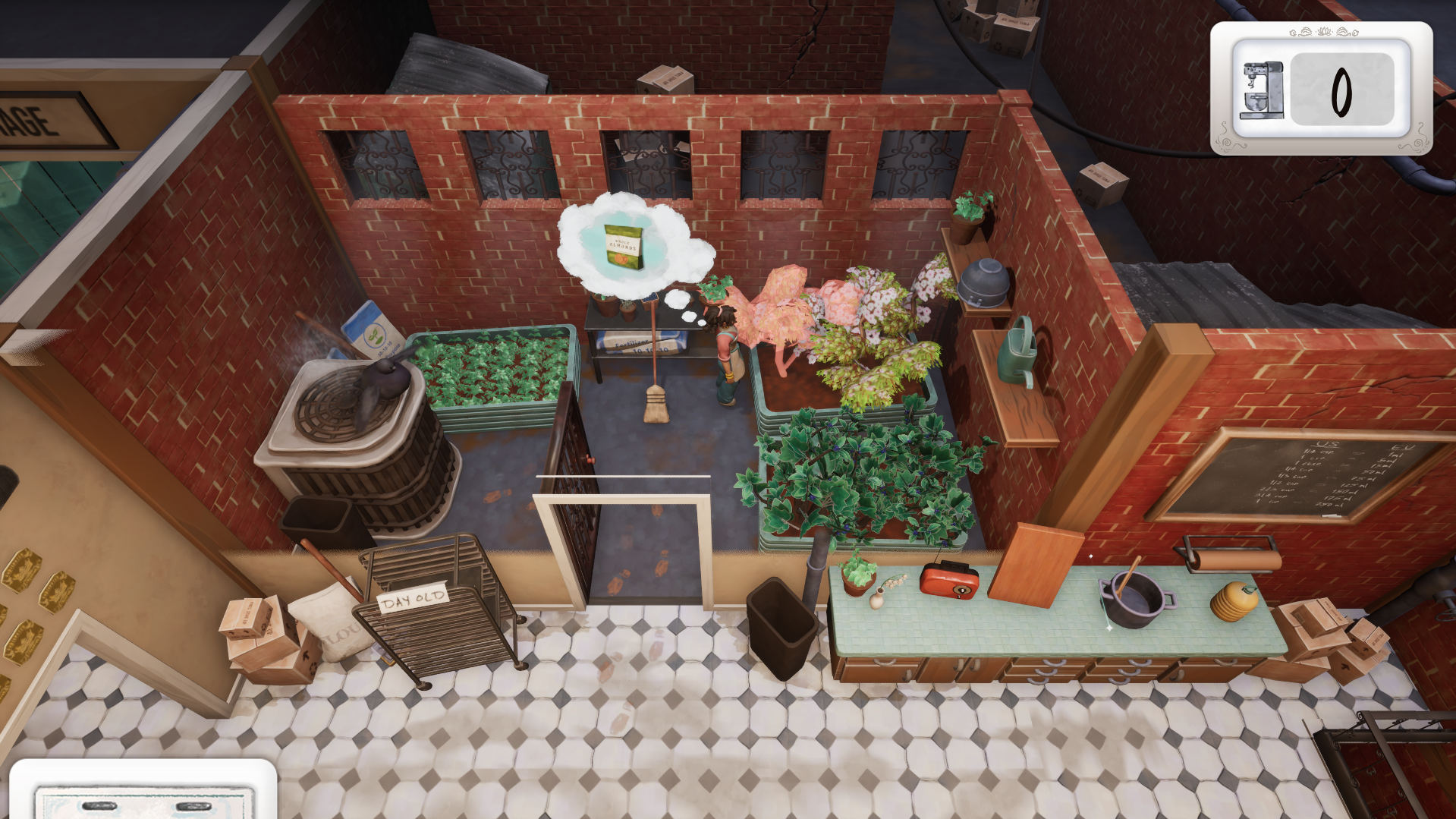 Picking almonds from the tree